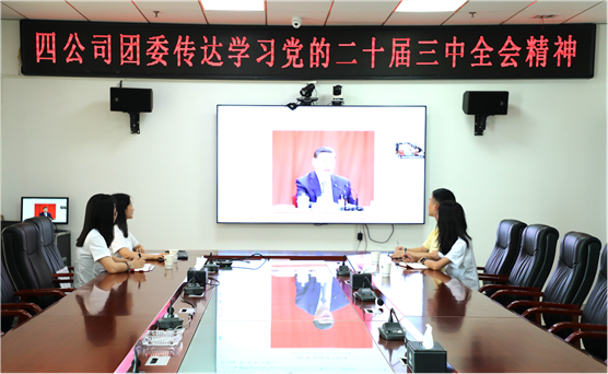 青春向黨 挺膺擔當 | 公司團員青年深入學習貫徹黨的二十屆三中全會精神、集團公司和公司系列重要會議精神